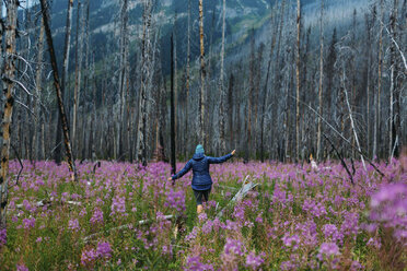 Rückansicht einer mittelgroßen erwachsenen Frau, die auf einem umgestürzten Baum in einem Feld mit Wildblumen balanciert, Moraine Lake, Banff National Park, Alberta Kanada - ISF11702