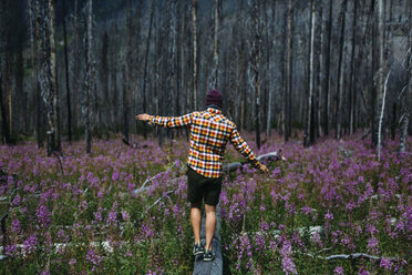 Rear view of mid adult man balancing on fallen tree in field of wildflowers, Moraine lake, Banff National Park, Alberta Canada - ISF11703