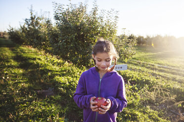 Mädchen im Obstgarten hält Apfel und schaut lächelnd nach unten - ISF11711