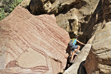 Young female rock climber climbing up Mount Wilson, Nevada, USA - ISF11719