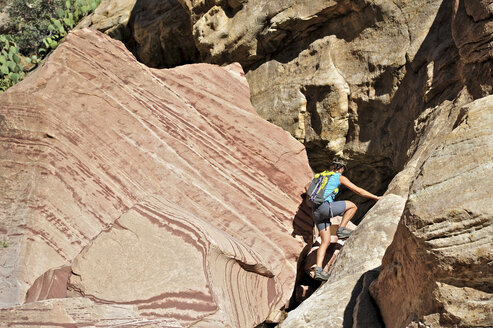 Junge Bergsteigerin beim Klettern auf den Mount Wilson, Nevada, USA - ISF11719