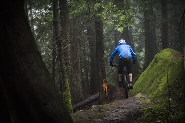 Rückansicht eines männlichen Mountainbikers, der durch den Wald fährt - ISF12124