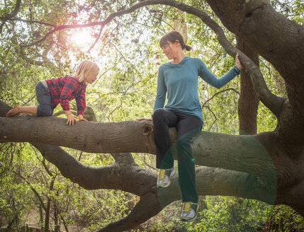 Mutter und Sohn sitzen im Baum - ISF12137