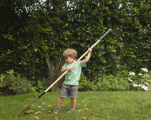 Young boy raking leaves in garden - ISF12146