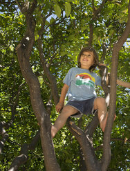 Junge sitzt in einem Baum, tiefer Blickwinkel - ISF12158