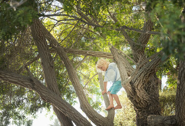 Young boy climbing tree - ISF12197
