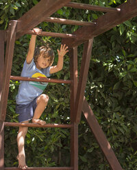 Young boy climbing wooden climbing frame - ISF12198