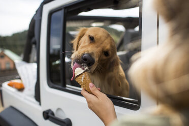 Over the shoulder view of young woman feeding dog ice cream in jeep - ISF12231