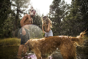 Hund bespritzt junges Paar im Fluss, Lake Tahoe, Nevada, USA - ISF12243