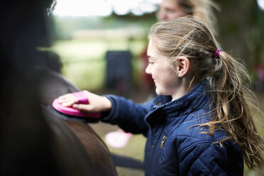 Girl horseback rider grooming horse - ISF12288