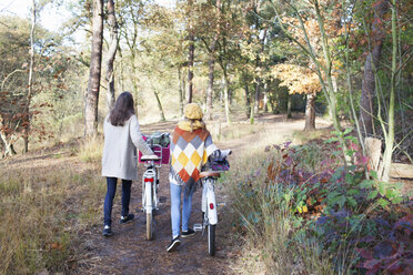 Full length rear view of teenage girls walking in forest pushing bicycles - ISF12541