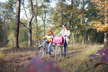 Vorderansicht von Teenagermädchen, die im Wald spazieren gehen und Fahrräder schieben - ISF12542