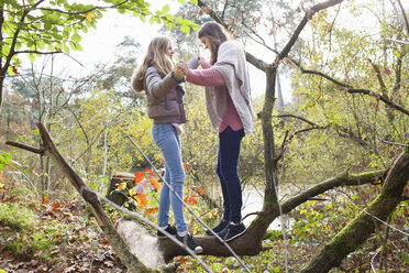 Seitenansicht von Teenagermädchen im Wald von Angesicht zu Angesicht, die sich an den Händen halten und auf einem umgestürzten Baumstamm balancieren - ISF12553