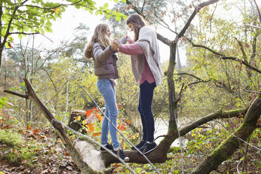 Side view of teenage girls in forest face to face holding hands balancing on fallen tree trunk - ISF12553