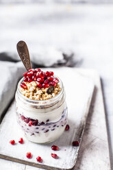 Granola breakfast with granola, yogurt and pomegranate seeds - SBDF03596