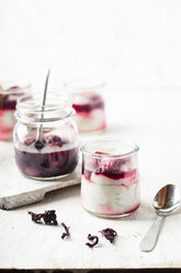 Vegan coconut pudding with rhubarb hibiscus syrup - SBDF03599