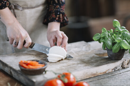 Frauenhände bei der Zubereitung von Caprese-Salat - ALBF00521