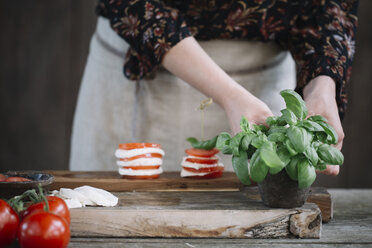 Frau bei der Zubereitung von Caprese-Salat, Teilansicht - ALBF00526