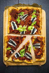 Pizza Marinara garnished with anchovies and parsley - GIOF03975
