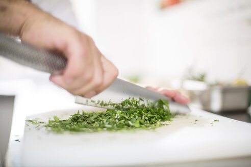 Cook chopping herbs - CVF00847