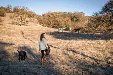 Junge Frau und Hund gehen durch ein Feld und tragen Pferdegeschirr - ISF12769