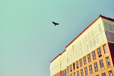 Silhouette von Vogel fliegen über Gebäude im Bau mit blauem Himmel - ISF12803