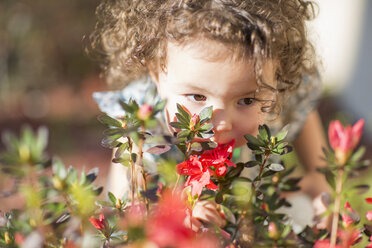 Junges Mädchen, an Blumen riechend, im Freien - ISF12873