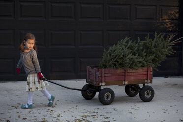 Porträt eines Mädchens, das einen Wagen mit Weihnachtsbaum zieht - ISF12902