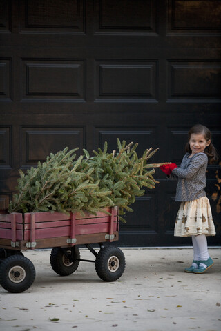 Porträt eines Mädchens, das einen Wagen mit Weihnachtsbaum schiebt, lizenzfreies Stockfoto