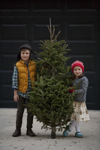 Mädchen und Junge halten Weihnachtsbaum, lizenzfreies Stockfoto