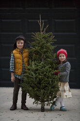 Mädchen und Junge halten Weihnachtsbaum - ISF12905