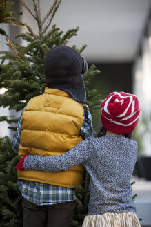 Mädchen und Junge tragen Weihnachtsbaum - ISF12907