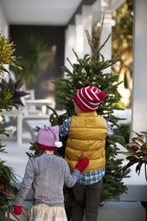 Mädchen und Junge tragen Weihnachtsbaum - ISF12908