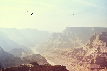 Guano Point, Grand Canyon West, Arizona, USA - ISF13018