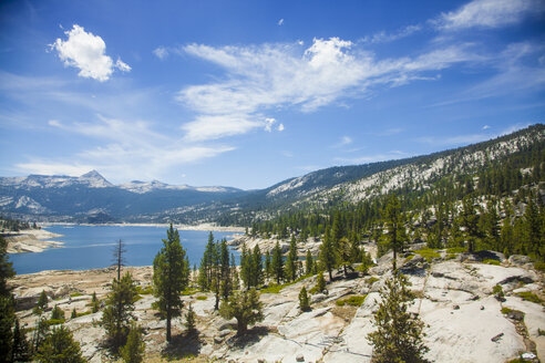 Hohe Winkelansicht von Bäumen und See, High Sierra National Park, Kalifornien, USA - ISF13150