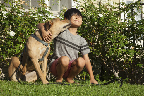 Hund leckt Jungen Gesicht im Garten - ISF13252