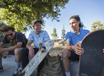 Junge Männer mit Skateboards unterhalten sich im Park - ISF13277