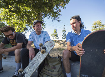 Young men with skateboards chatting in park - ISF13277