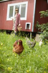 Feld mit freilaufenden Hühnern und Frau - ISF13624