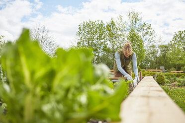 Reife Frau, im Freien, Gartenarbeit - ISF13722