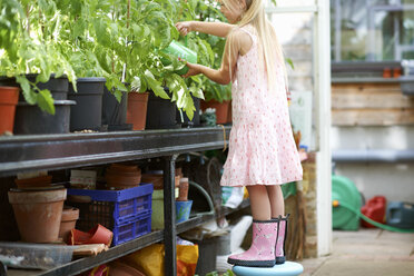 Mädchen steht auf einem Hocker, um die Pflanzen im Gewächshaus zu gießen - ISF13786