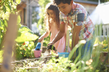 Junge und Mädchen graben ein Hochbeet im Garten - ISF13792