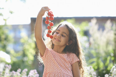 Portrait of girl holding up bunch of cherry tomatoes in garden - ISF13795