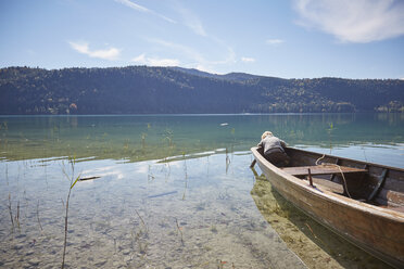 Junge beugt sich aus dem Ruderboot nach vorne und schaut in den See, Kochel, Bayern, Deutschland - ISF13916