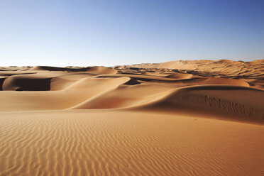 Sand dunes, Liwa Oasis, Abu Dhabi, UAE - ISF13979