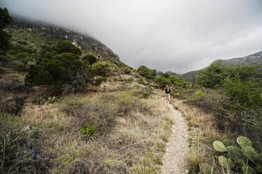 Junger Mann beim Wandern, Guadalupe-Gebirge, Texas, USA - CUF33270