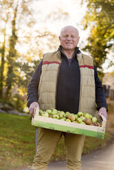 Älterer Mann trägt Kiste mit Äpfeln - CUF33554