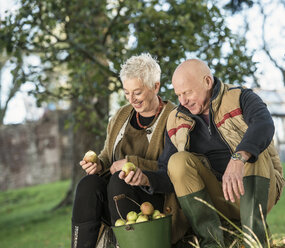 Älteres Paar bewundert Äpfel aus einem Eimer - CUF33560