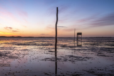 United Kingdom, England, Northumberland, posts marking the pilgrims' way crossing to Lindisfarne with emergency refuge, sunrise - SMAF01039