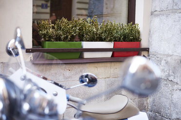 Three flower box on window sill of a house - ABIF00642